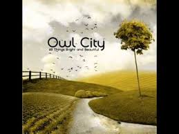 Image result for owl city album