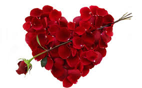 Image result for Images of valentine