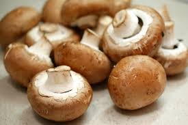 Imagini pentru gatire ciuperci