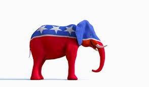 Image result for republican not