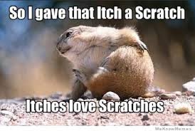 So I Gave That Itch A Scratch | WeKnowMemes via Relatably.com