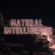 The Natural Intelligence Podcast
