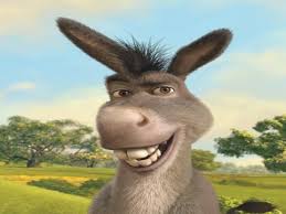Image result for laughing donkey images