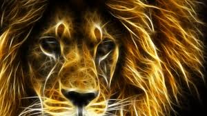 Image result for lion pictures