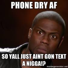 PHONE DRY AF SO YALL JUST AINT GON TEXT A NIGGA!? - kevin hart ... via Relatably.com