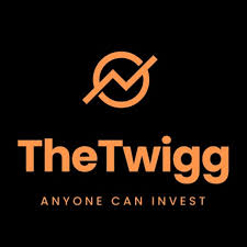 Crypto Investing With TheTwigg