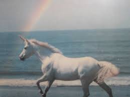 Image result for unicorn best pics