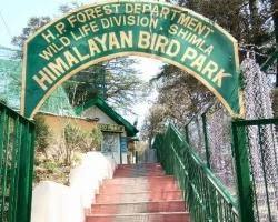Image of Himalayan Bird Park, Shimla