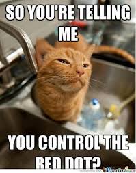 Mr. Cat Was Serious by recyclebin - Meme Center via Relatably.com