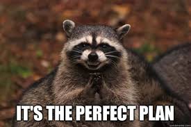 It&#39;s the perfect plan - Evil Plotting Raccoon - quickmeme via Relatably.com