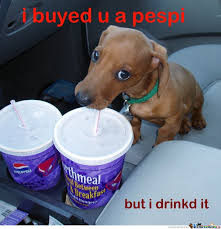Cute Puppy Memes. Best Collection of Funny Cute Puppy Pictures via Relatably.com