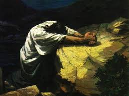 Image result for images of the Garden Of Gethsemane