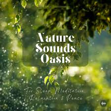 Nature Sounds Oasis | Relaxing Nature Sounds For Sleep, Meditation, Relaxation Or Focus | Sounds Of Nature | Sleep Sounds, Sleep Music, Meditation Sounds, Ocean Waves, Rain, White Noise & More