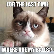 25 Funny Cat Memes That Will Make You LOL via Relatably.com