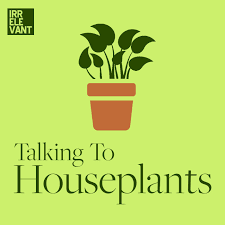 Talking To Houseplants