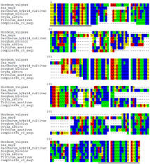 De Novo Transcriptome Assembly from Inflorescence of Orchis ...