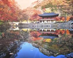 Tour du lịch Hàn Quốc mùa thu, kinh nghiệm du lịch hàn quốc , điểm du lịch hàn quốc mùa thu , Du Lịch Xanh