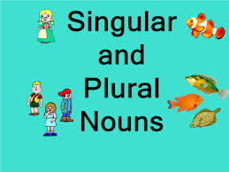 Resultado de imagen para plural and singular nouns