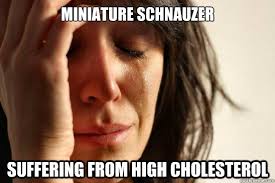 miniature schnauzer suffering from high cholesterol - First World ... via Relatably.com