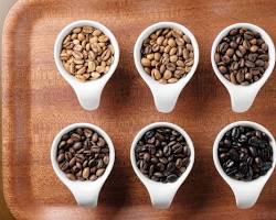 中煎りコーヒー豆の画像