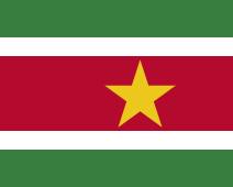 Imagem de Bandeira do Suriname