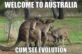 WELCOME TO AUSTRALIA CUM SEE EVOLUTION - Kinky Kangaroos - quickmeme via Relatably.com