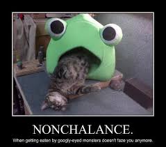 Nonchalance Meme | Slapcaption.com | We Heart It | cat, meme, and ... via Relatably.com