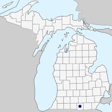 Myosurus minimus - Michigan Flora