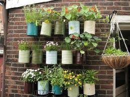 Image result for plants in tins hanging on wall in garden