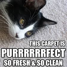 Friday Funnies – Carpet Cleaning Memes | Carpet Cleaning Professional via Relatably.com