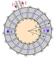 Toroidal Magnetic Field