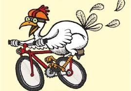 Image result for chicken in bicycle race