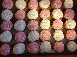 Sam's Club Cupcakes- pink/white