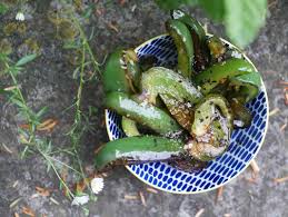 The Most Delicious Green Peppers You'll Ever Eat And How I Found ...