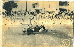 Image result for hinh thich quang duc tu thieu