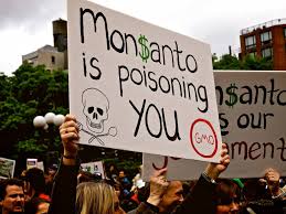 「Monsanto」的圖片搜尋結果