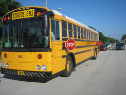 Bus Crash Injures Schoolchildren