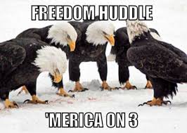 Image result for 'merica