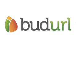 Immagine di BudURL logo