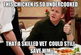 This chicken is so undercooked that a skilled vet could still save ... via Relatably.com