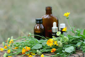 Herbal medicines are made