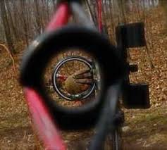 Image result for sight compound bow