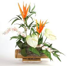 Image result for flower arrangements