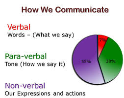 Image result for verbal non verbal