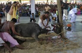 Image result for stupid superstition HINDU INDIAN traditions