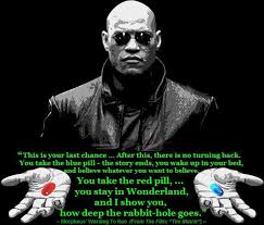 Image result for red vs blue pill