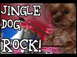 Image result for dogs and jingle bells