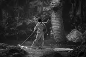 Image result for son of kong