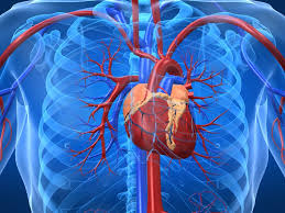 homocysteine levels predictors of heart disease