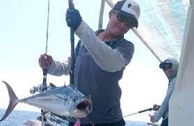 Hasil gambar untuk gambar kapal laut di sendang biru